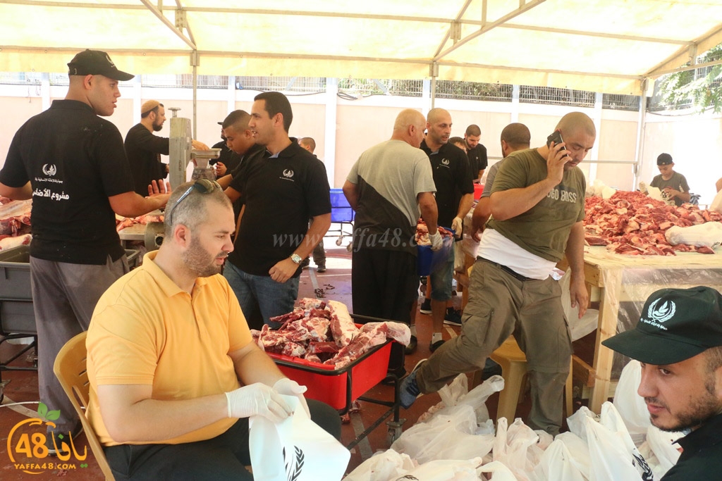 ada7y forthei (15).JPG